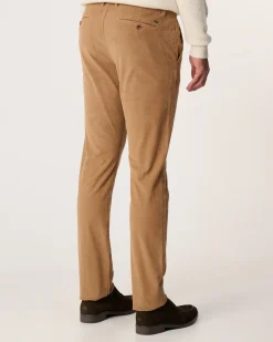 Campbell Chino