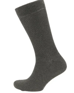 Campbell Sokken