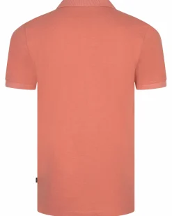 Cavallaro Polo