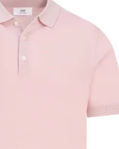 Gentiluomo Polo