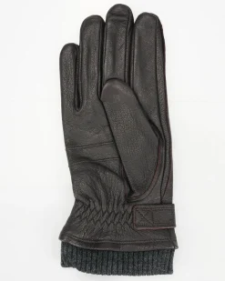 Pearlwood Handschoenen