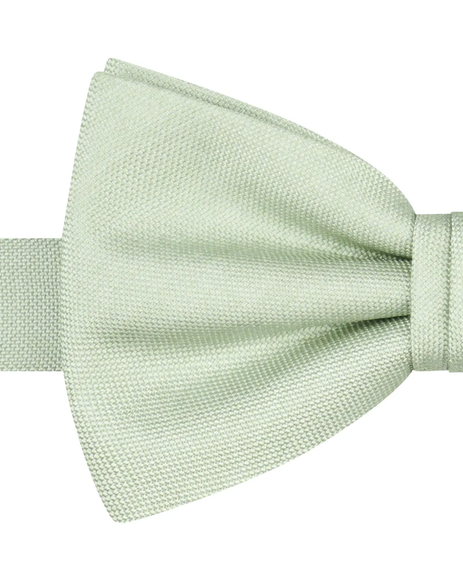 Profuomo Strik