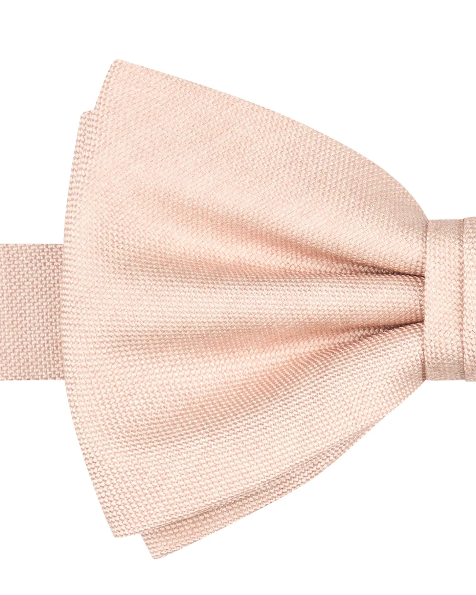 Profuomo Strik