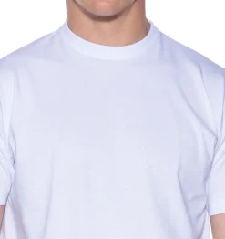 Slater regular fit T-shirts 2-pack