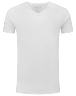 Slater regular fit T-shirt V-hals 2-pack
