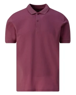 The BLUEPRINT Premium Polo Korte mouw